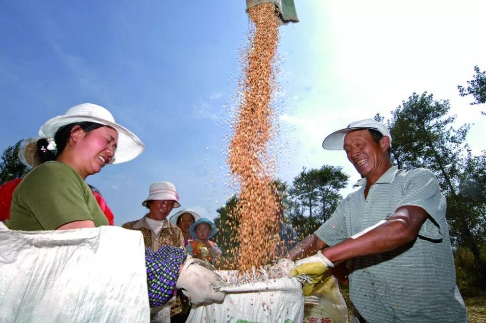 灏变笟宸ヤ綔鍒跺害,鍔冲姩灏变笟鍒跺害瀵逛釜浜虹殑鎰忎箟
