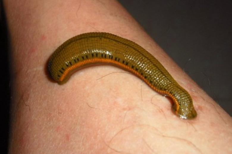 戴笠发明对女特务的刑罚,戴笠发明“泡澡酷刑”