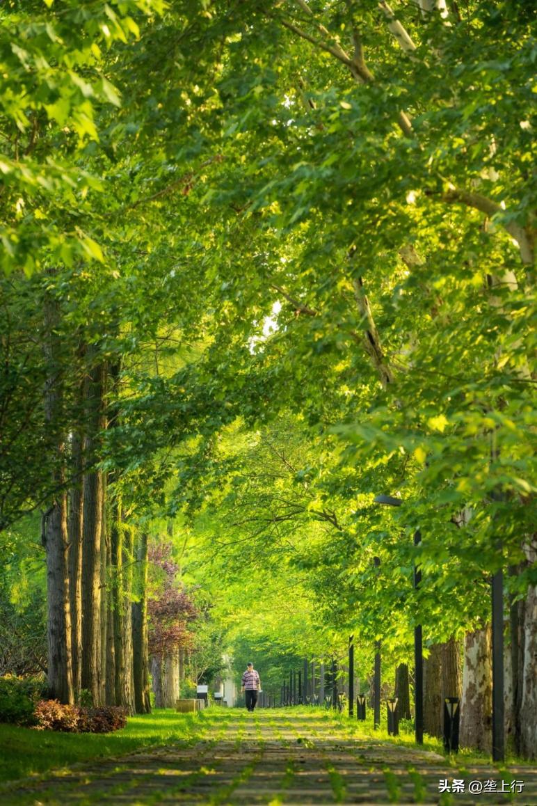 24小时玩不够丨“6·16三好节”发布最强“玩购秘籍”！