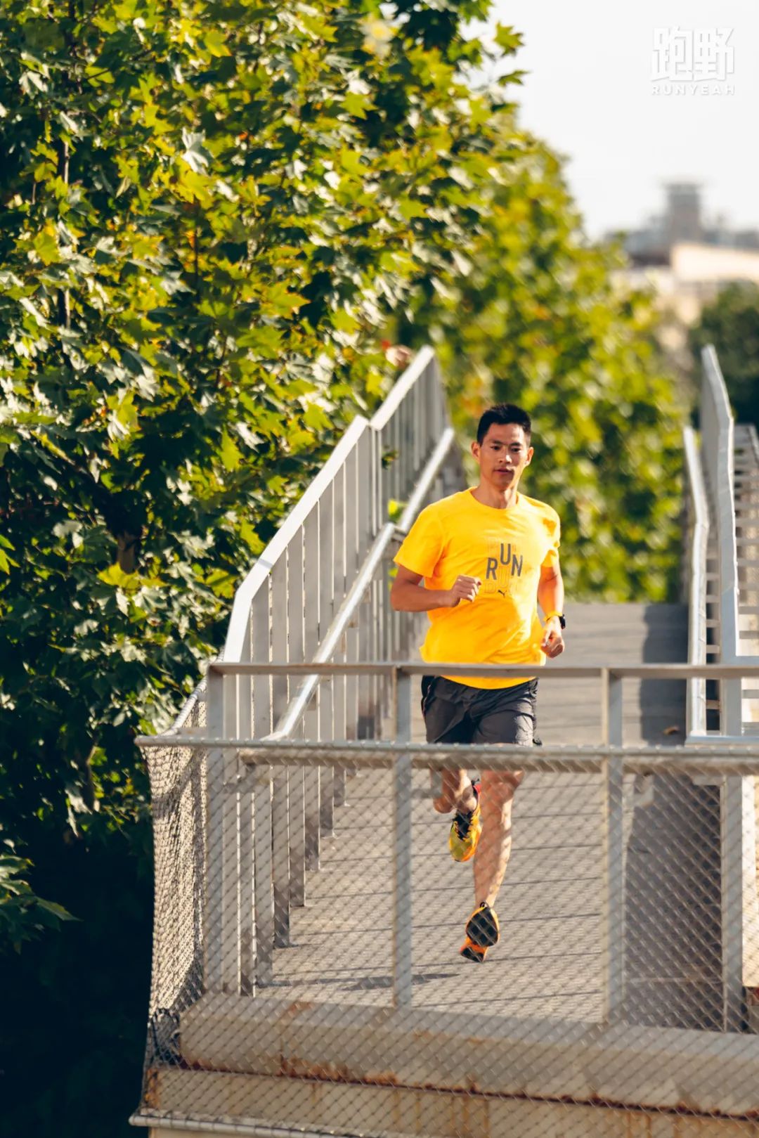 pumafastrnitroelite,pumafast-fwdelite测评