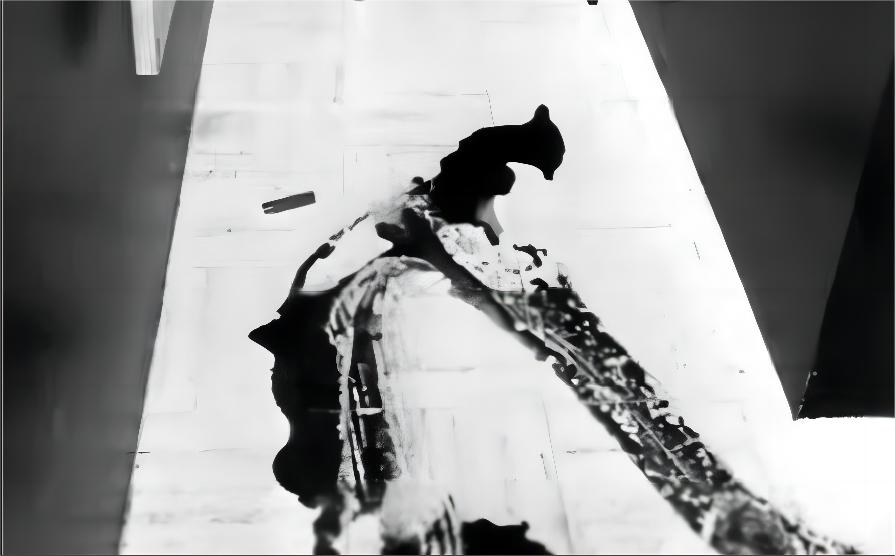 杀害女儿凶手法庭,杀害7岁女童嫌犯动机