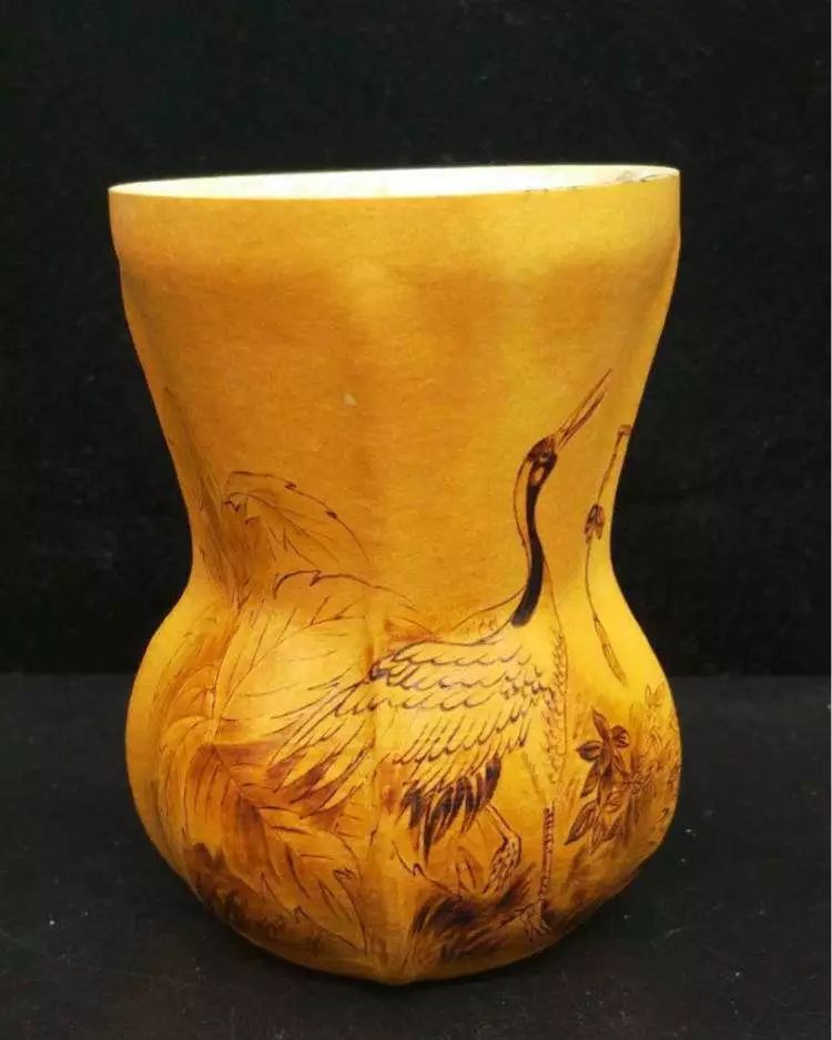 养猫养狗都养不活,养狗养猫养蜘蛛