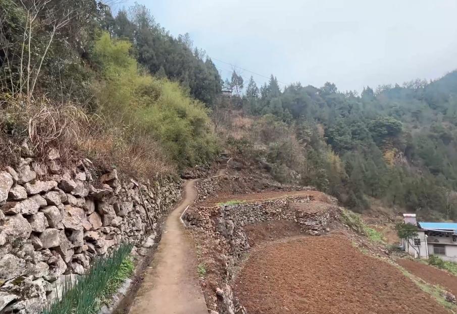 重庆天坑下的5户人家,重庆天坑底部住着5户人家