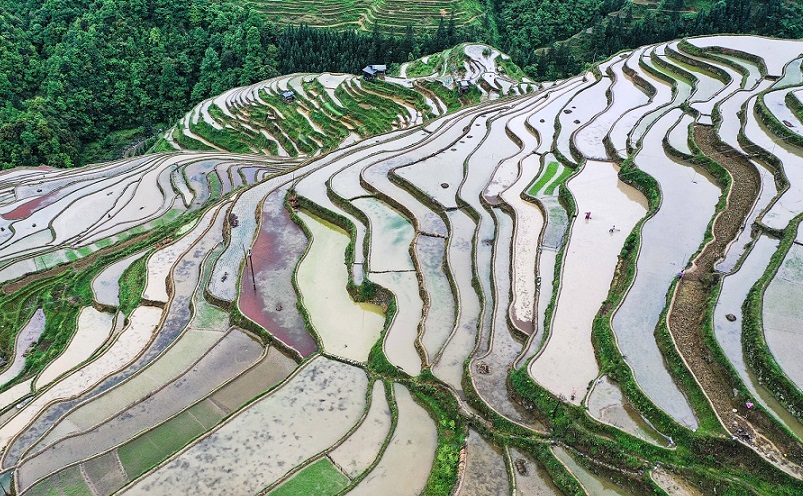 贵州十大旅游景点自驾游攻略,贵州六盘水旅游十大景点介绍