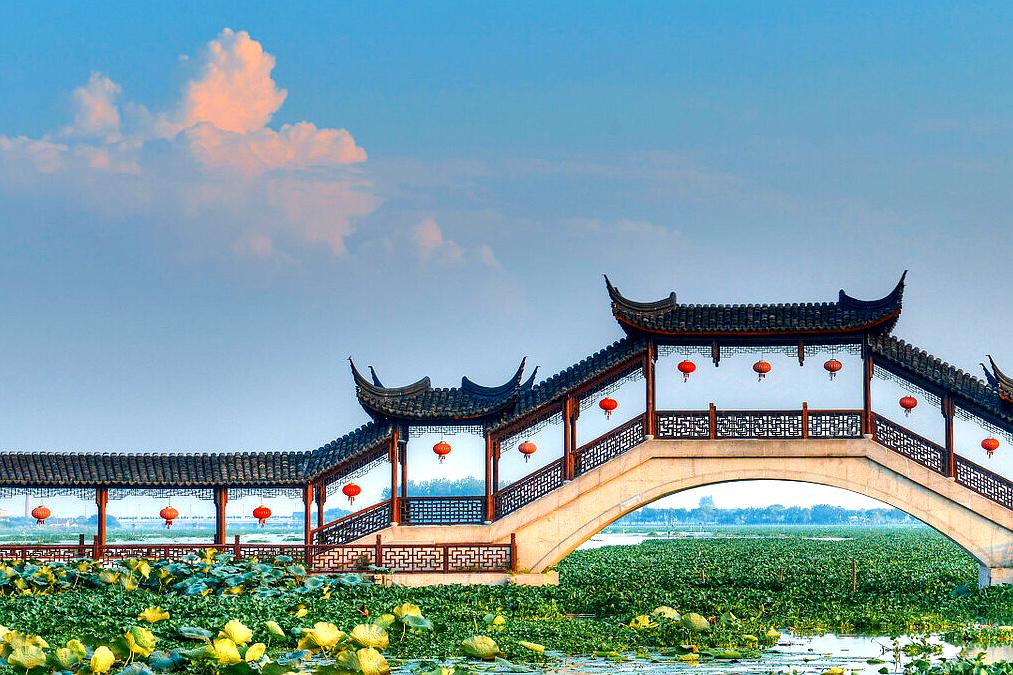 苏州旅游十大赏花景点,苏州赏花最佳景区排名