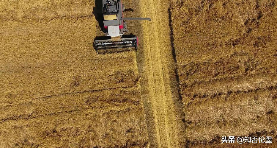 农村目前有哪些挣钱门路,农村适合做什么最挣钱