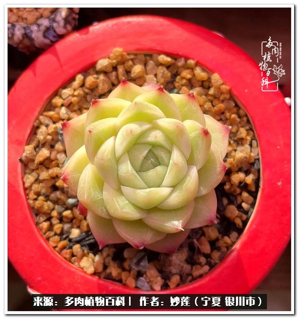 世间繁华三千不如一隅清欢,世间繁华三千不如有一院清欢