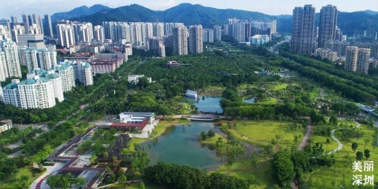 深圳公园的故事｜先锋实践，甜蜜家园——香蜜公园