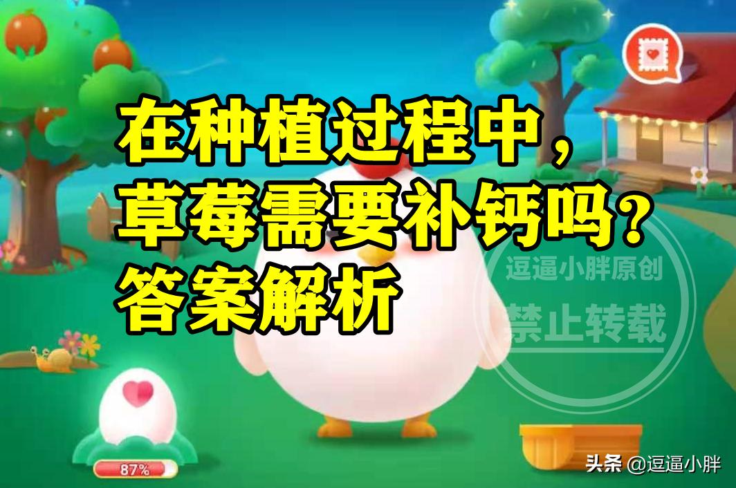 种植草莓老是有蚂蚁怎么办,草莓种植中需要补钙吗