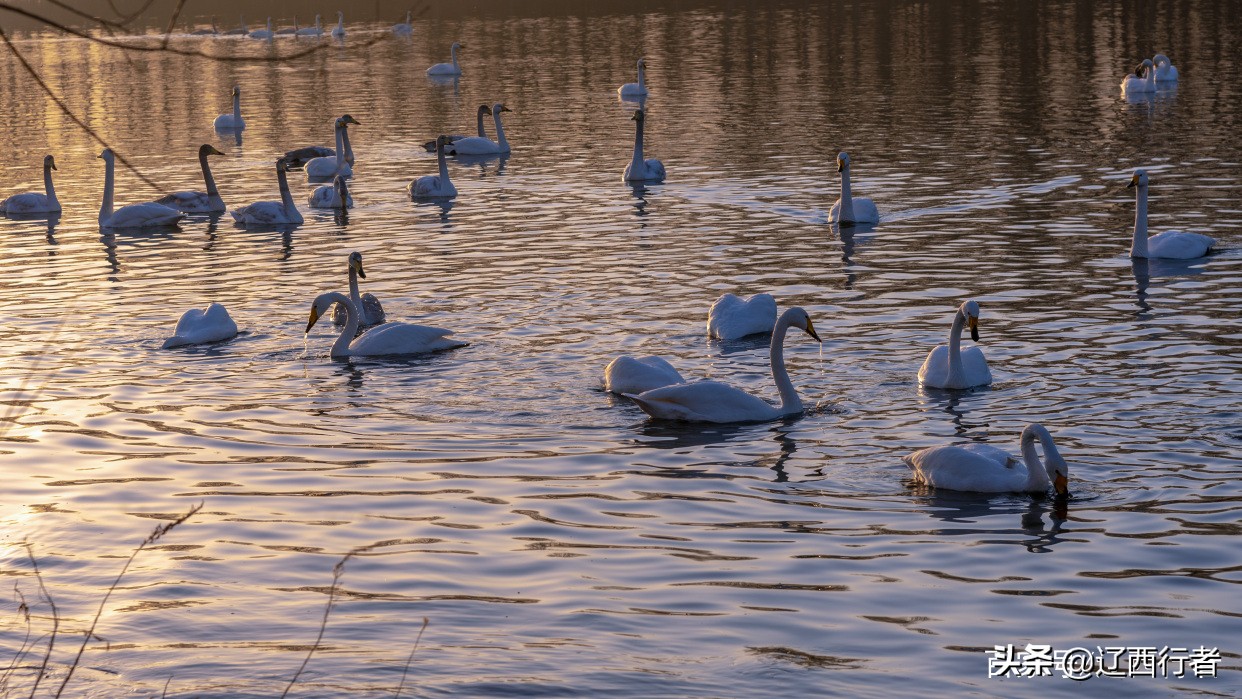 漫步天使乐园(旅拍)