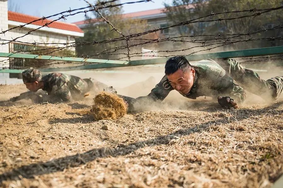 【起床号】3月29日，早安！歌曲《怒放的生命》