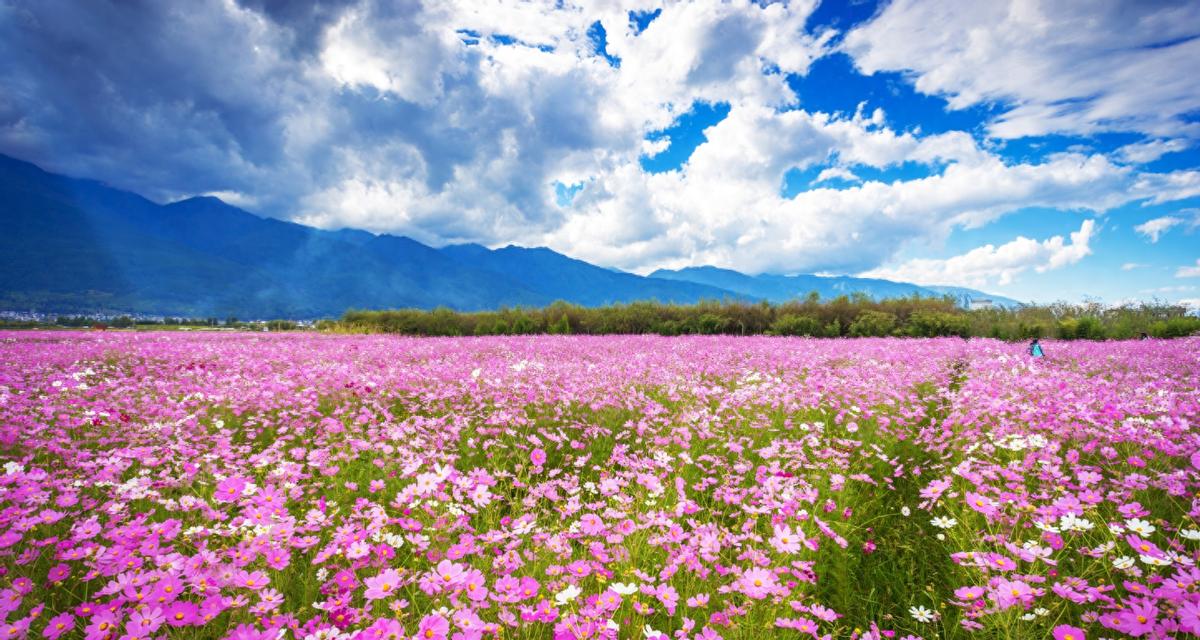 大姑姐问_今年你父母怎么没有寄家乡味给你？我说_没有以后也没有