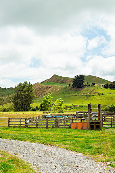 美女富豪嫁给农村小伙,美女富豪嫁给穷小伙