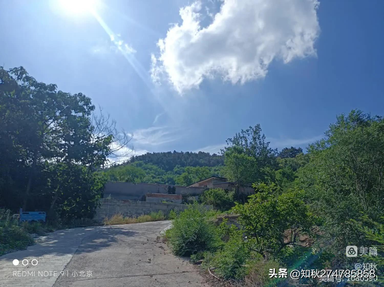 五月端午采艾哪个时辰最佳,踏青采艾