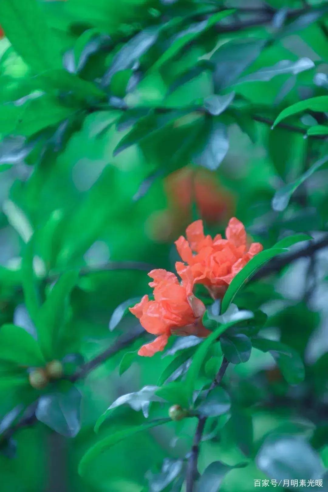 外汇投资有哪些技巧,外汇投资的方式是什么