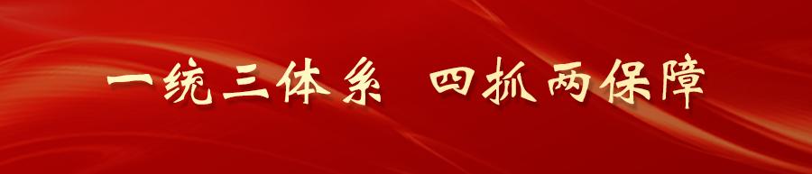 基层治安治理与矛盾风险预防化解,全力维护辖区治安大力排查矛盾