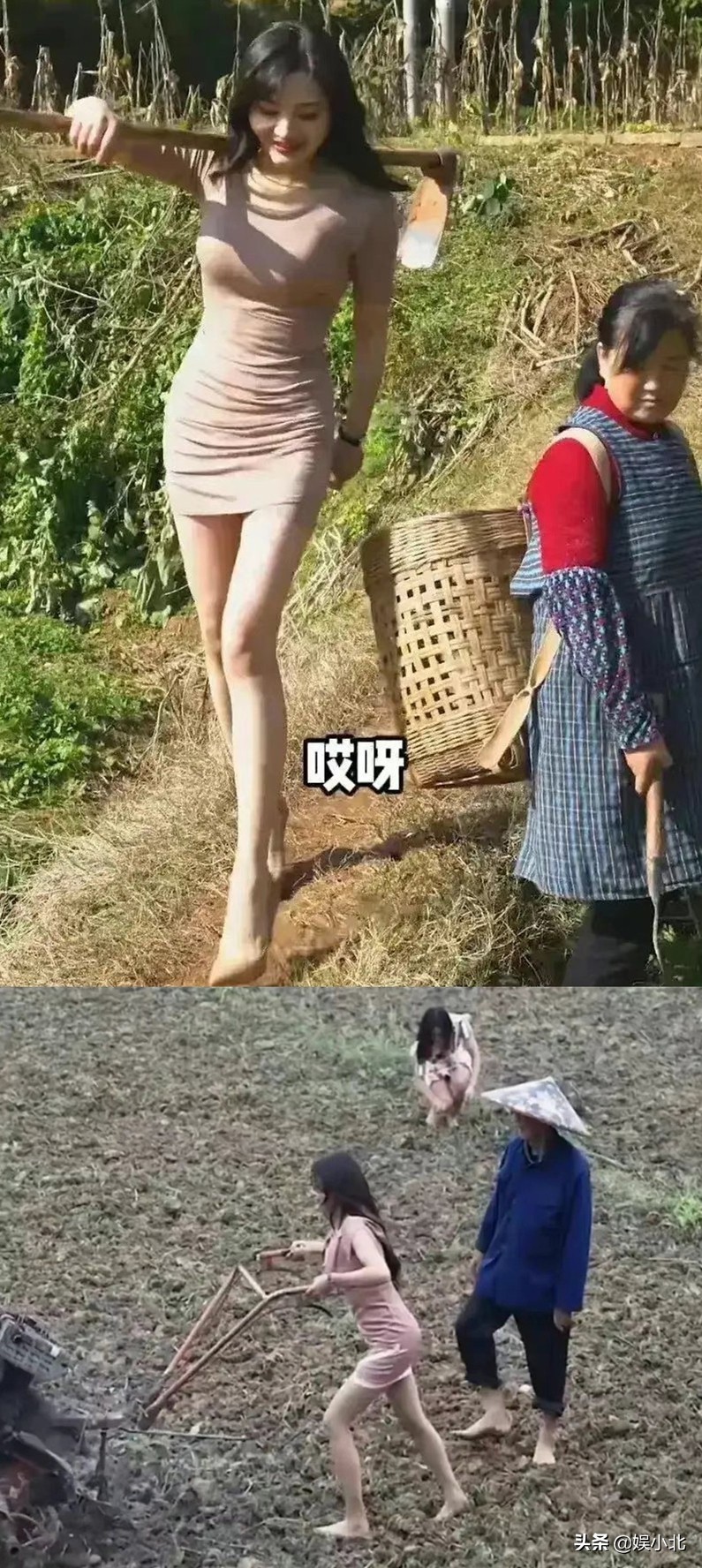 江湖气被追捧，小混混被推崇，网红“毒瘤”还是“反噬”了年轻人