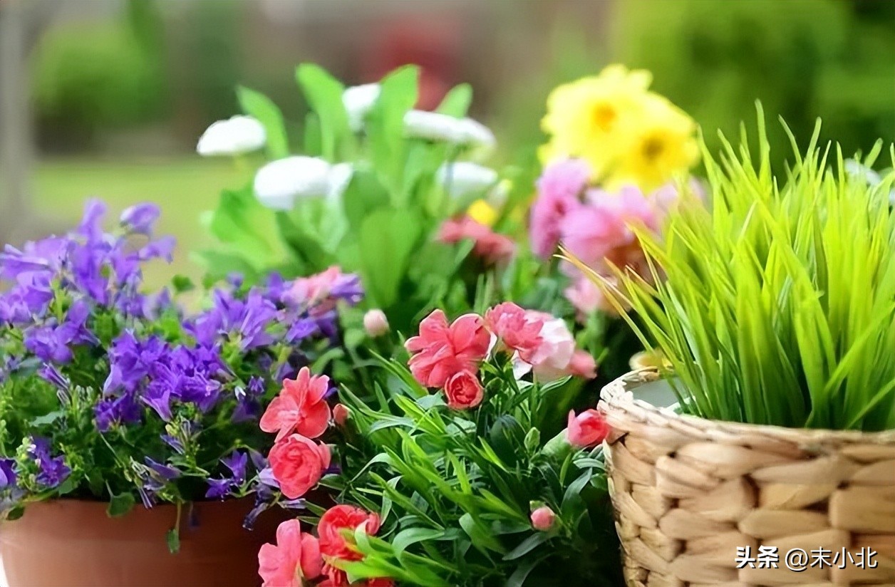 男人哄骗女人时，常说的三句“假话”，你听过几句？