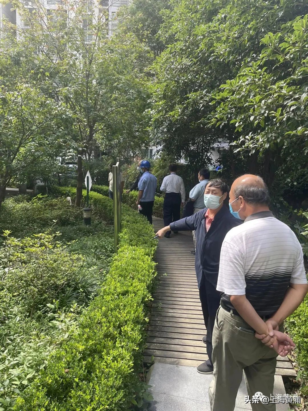 业委会主任与微网格长交叉任职,社区治理舞台上居委不再唱“独脚戏”