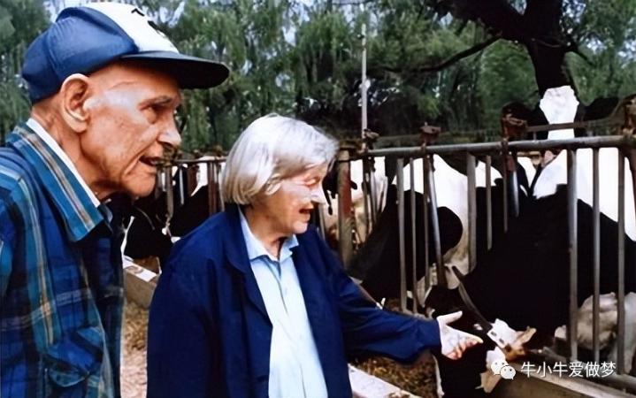 奶粉发展现状及原因,奶粉行业的谎言