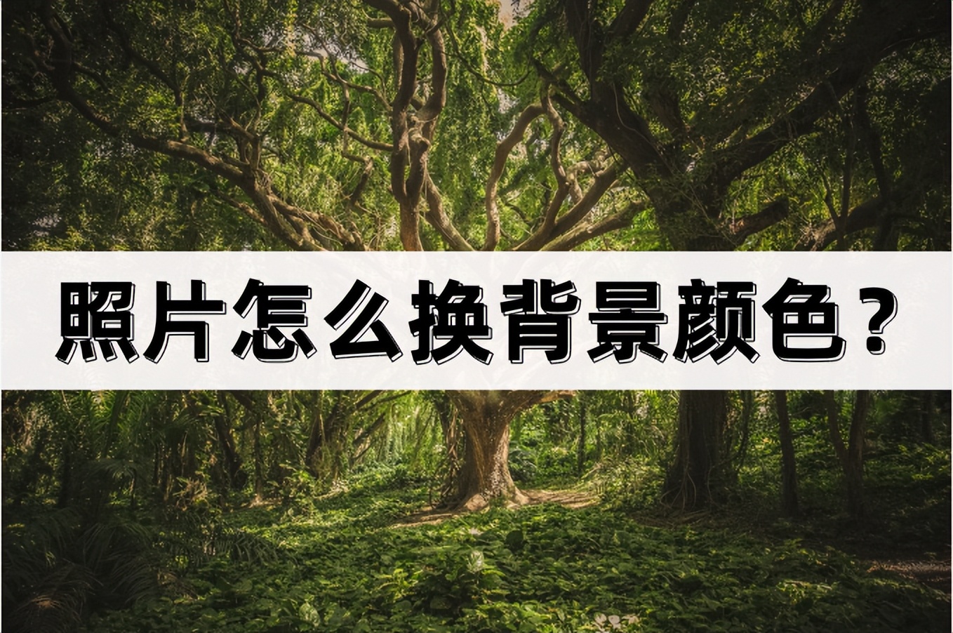 照片换背景颜色最简单方法,photoshopcs2怎么换背景颜色