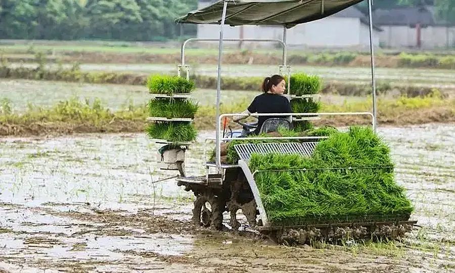 插秧机基础知识,久保田高速插秧机如何检修