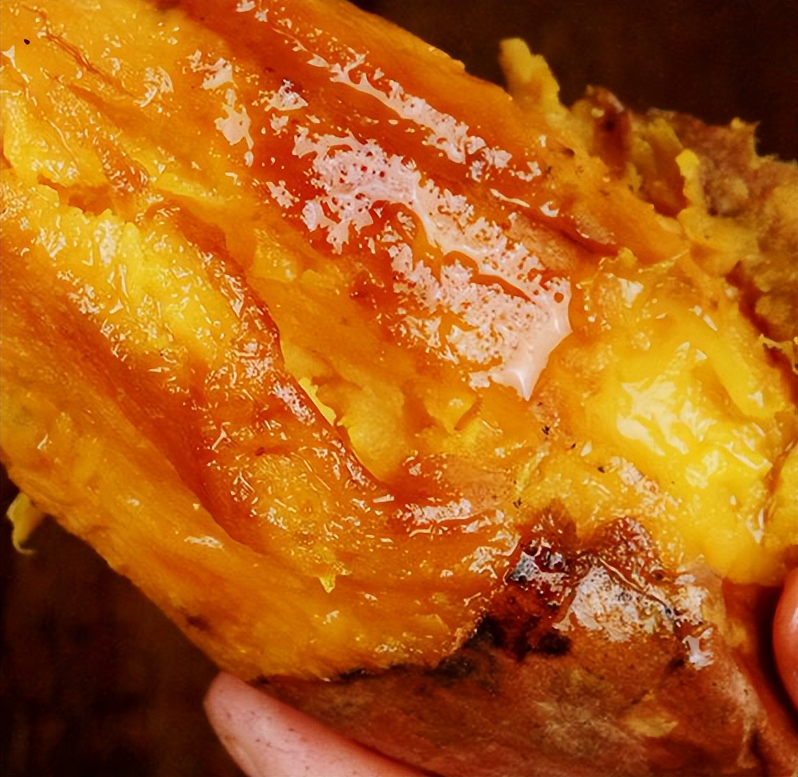 不知道地瓜有没有被老鼠咬过,烟薯被老鼠咬