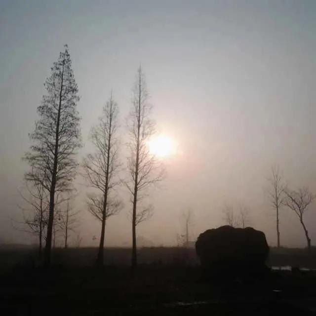 年关将至往事清零,思绪万千又年关