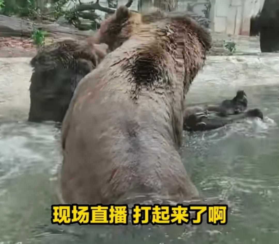 澶╂触澶уЖ鎵撴灦鎼炵瑧,澶╂触澶уЖ鎵撴灦鎼炵瑧瑙嗛