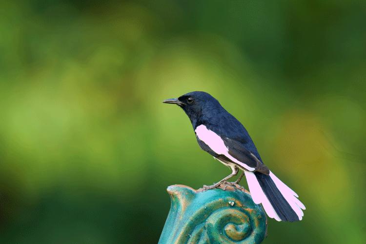 赏城中美景，品厦门味道。城市中心C位酒店，毗邻植物园、中山路