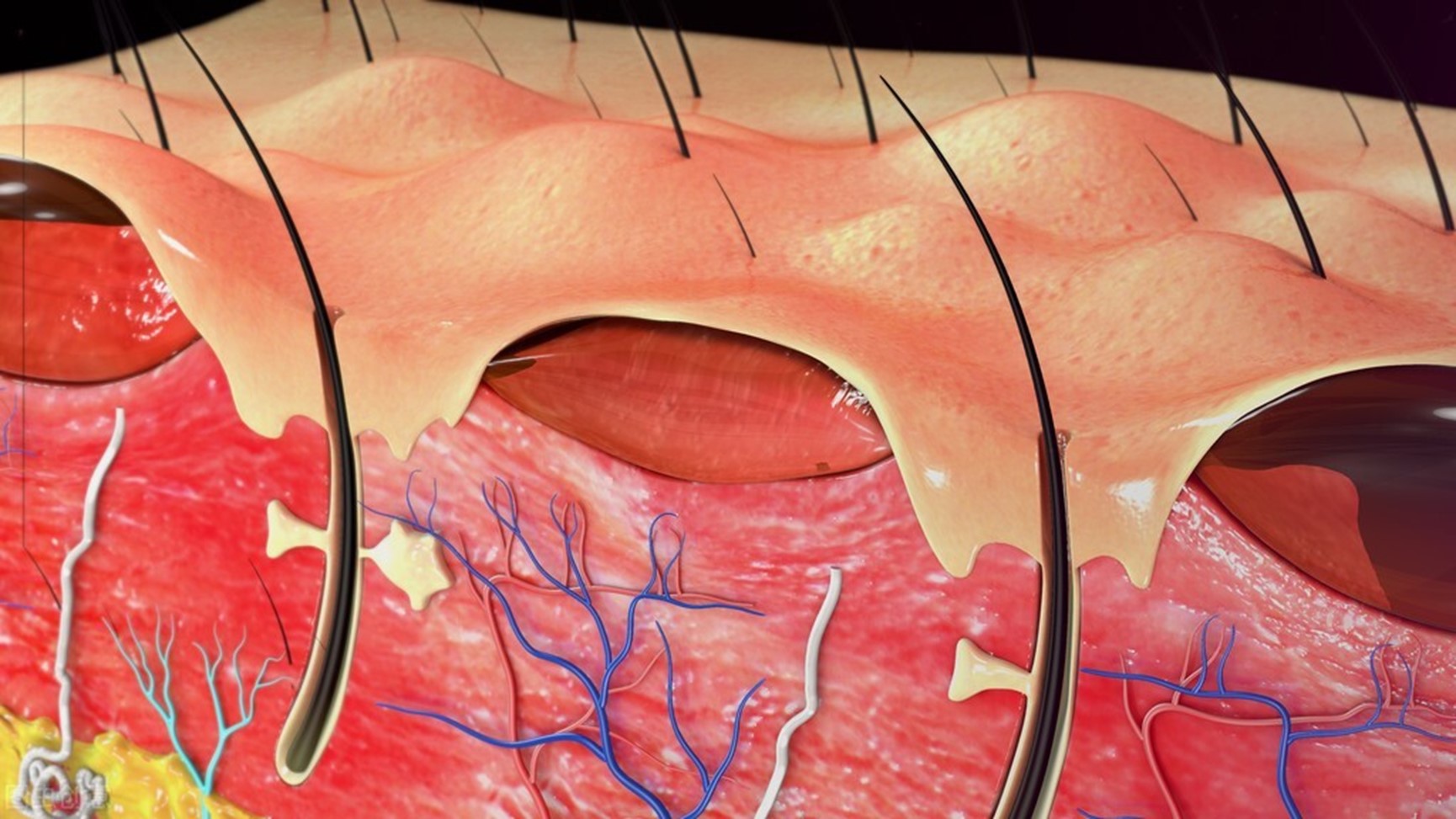 儿童烫伤应急处理方法,儿童热水烫伤用什么方法最快好