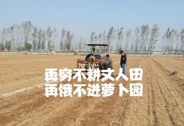 为啥要说穷死不耕丈人田什么意思,俗语再穷不耕丈人田