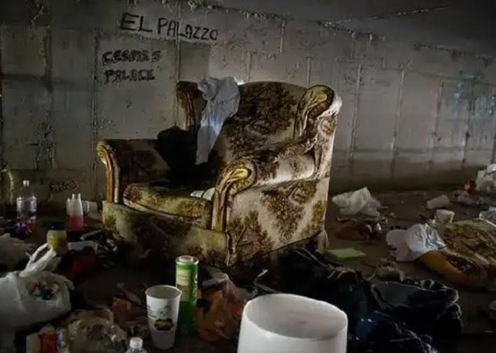 美国鼠族的生活,住在下水道里的美国鼠人