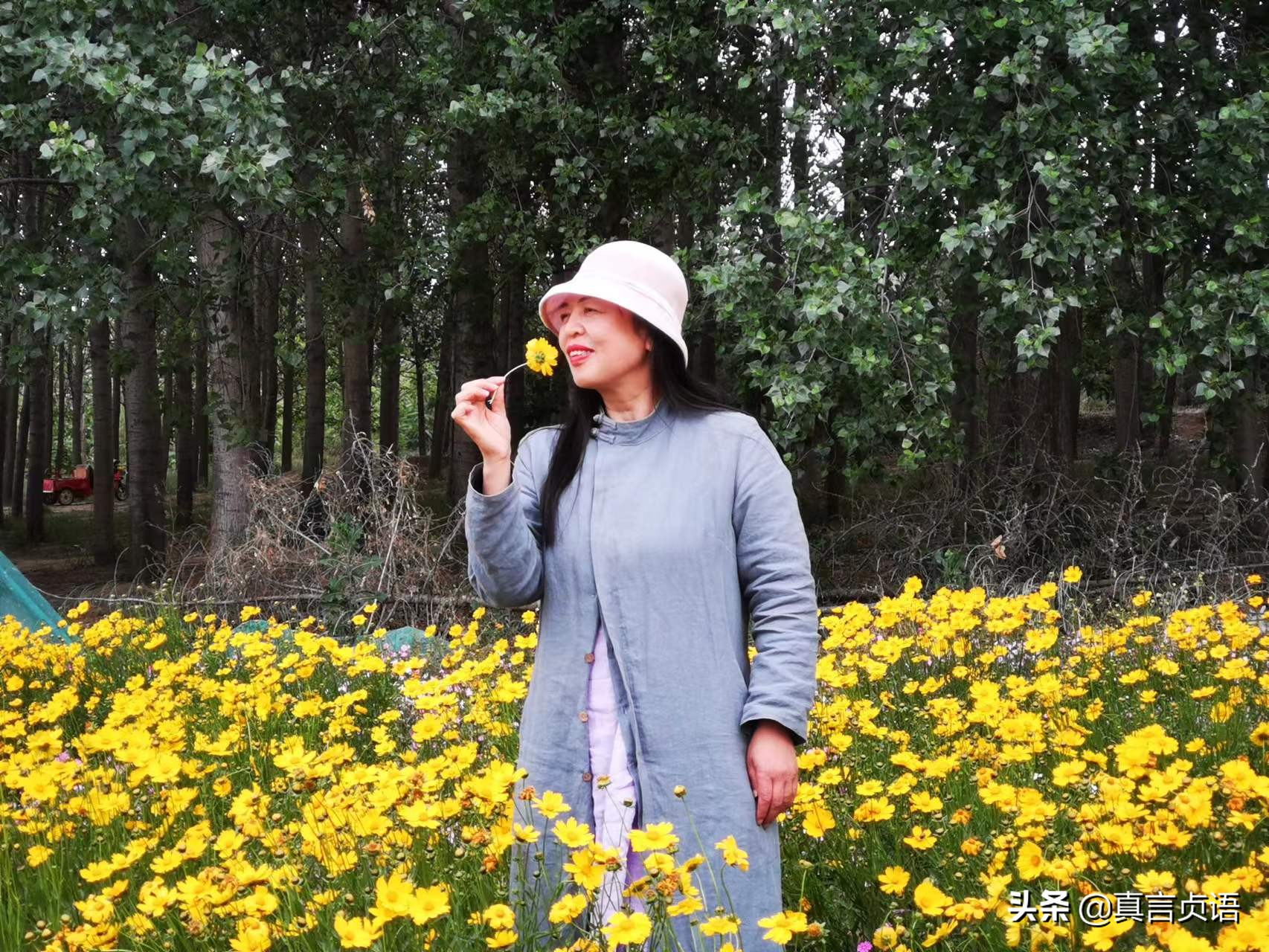 田荣原创丨赤子情怀诗浪涌——评黄河诗人马华松诗歌风雅颂