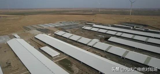 大庆生产的牛奶,大庆产牛奶