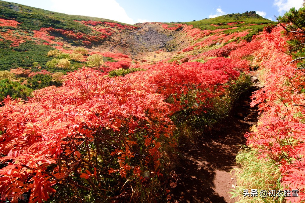 描写农历十月的优美古诗词,赞美金秋十月的古诗
