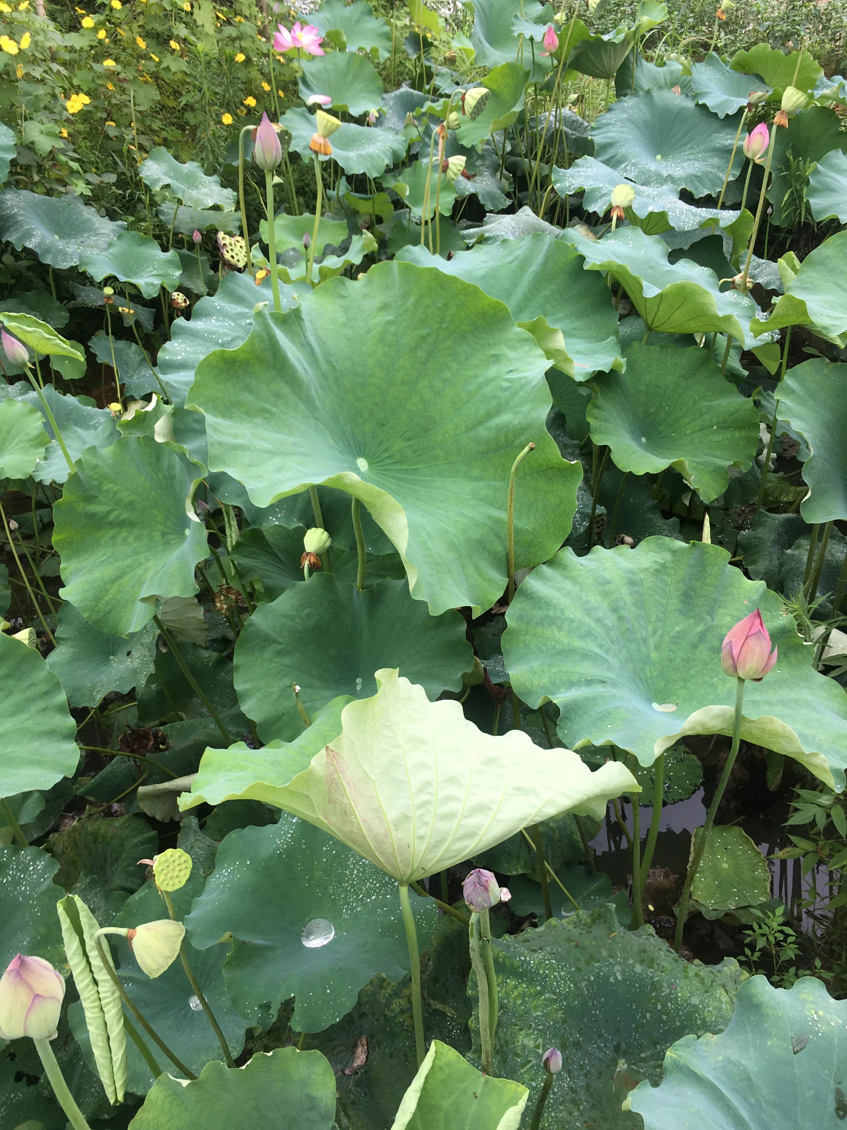 基金和股票什么时间买最好,买基金怎么选择卖最早买的股票