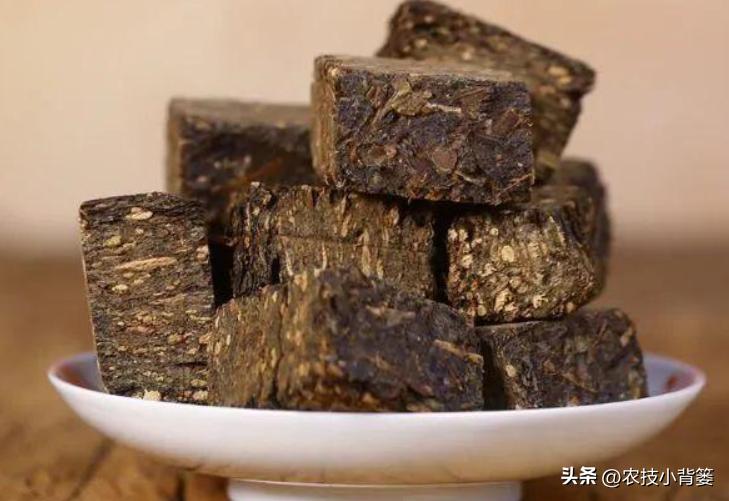 适合秋冬喝的3种茶,春季适合喝的3款时令茶