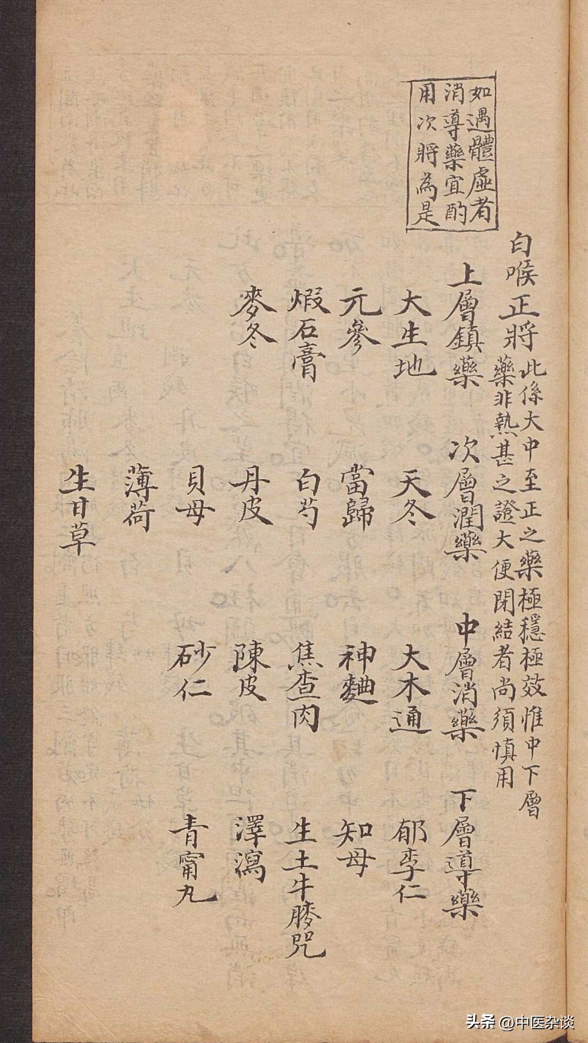 白喉中医经方,中医白喉的病机