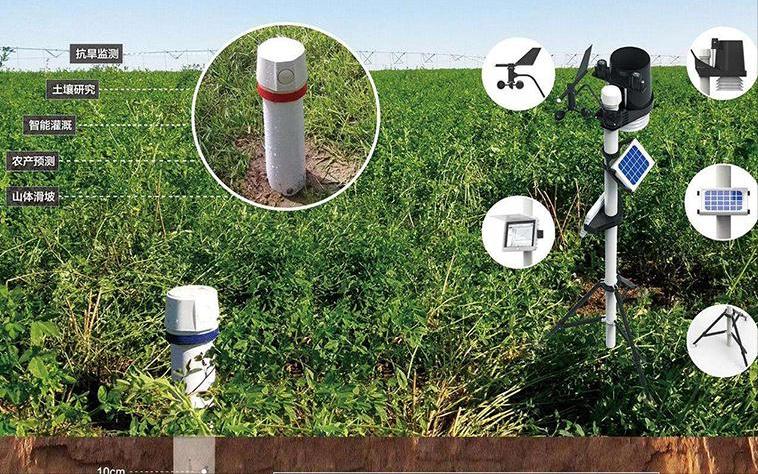 无线传感器网络技术：不同肥料处理下生长的秋葵的比较分析