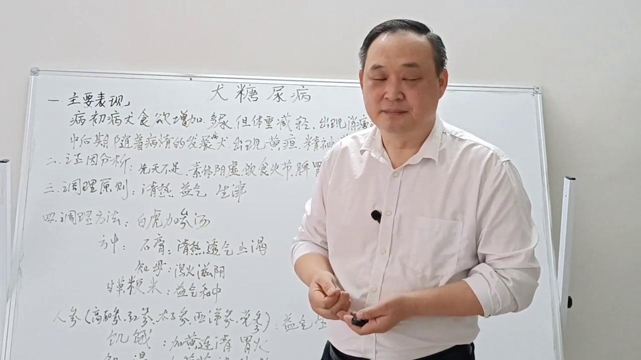 犬病哪里治,犬病的治疗方法