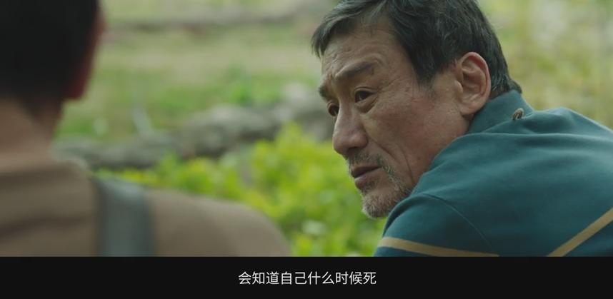 2023年最火热的爱情片,2023新爱情片