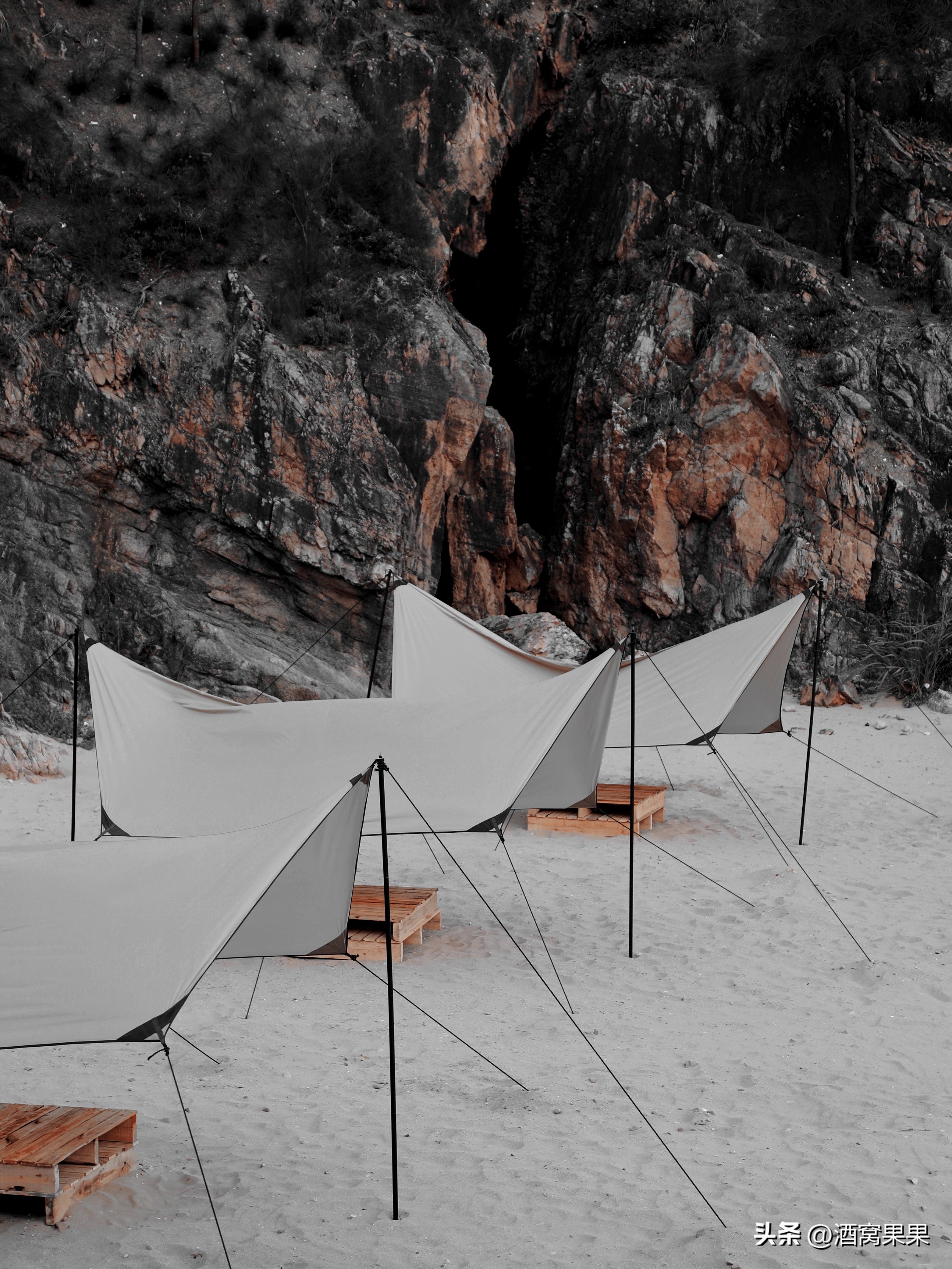 福鼎两天一夜旅游攻略,福鼎茶漫步茶园体验采茶之旅