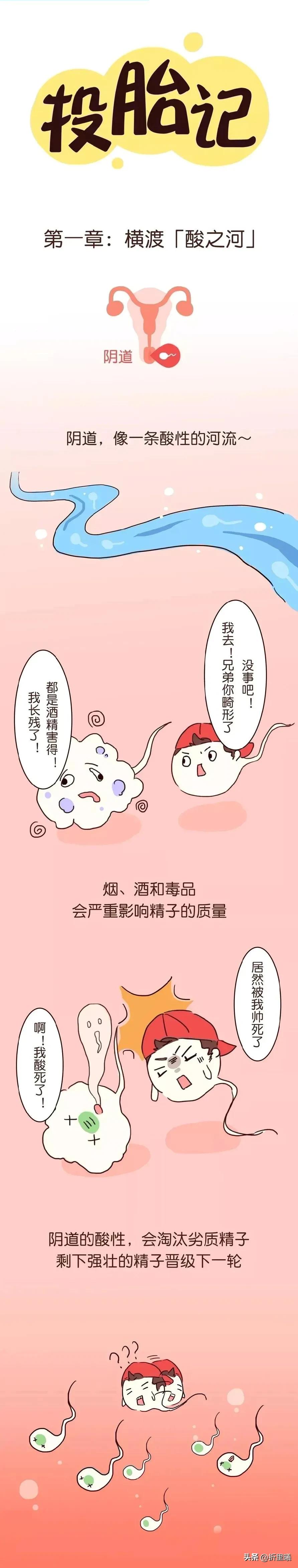 精子进入人体48小时变化,精子在人体24个小时都经历了什么