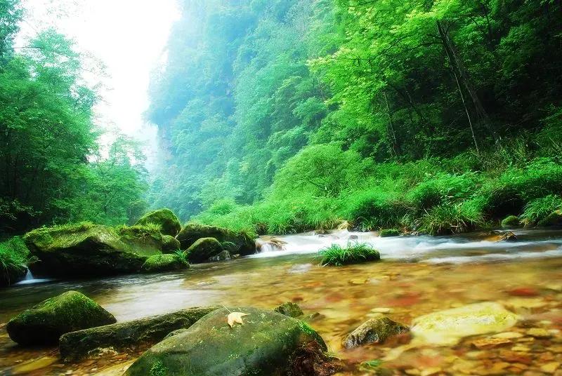 微信里的人都有什么特征,怎么查看微信里的秘密