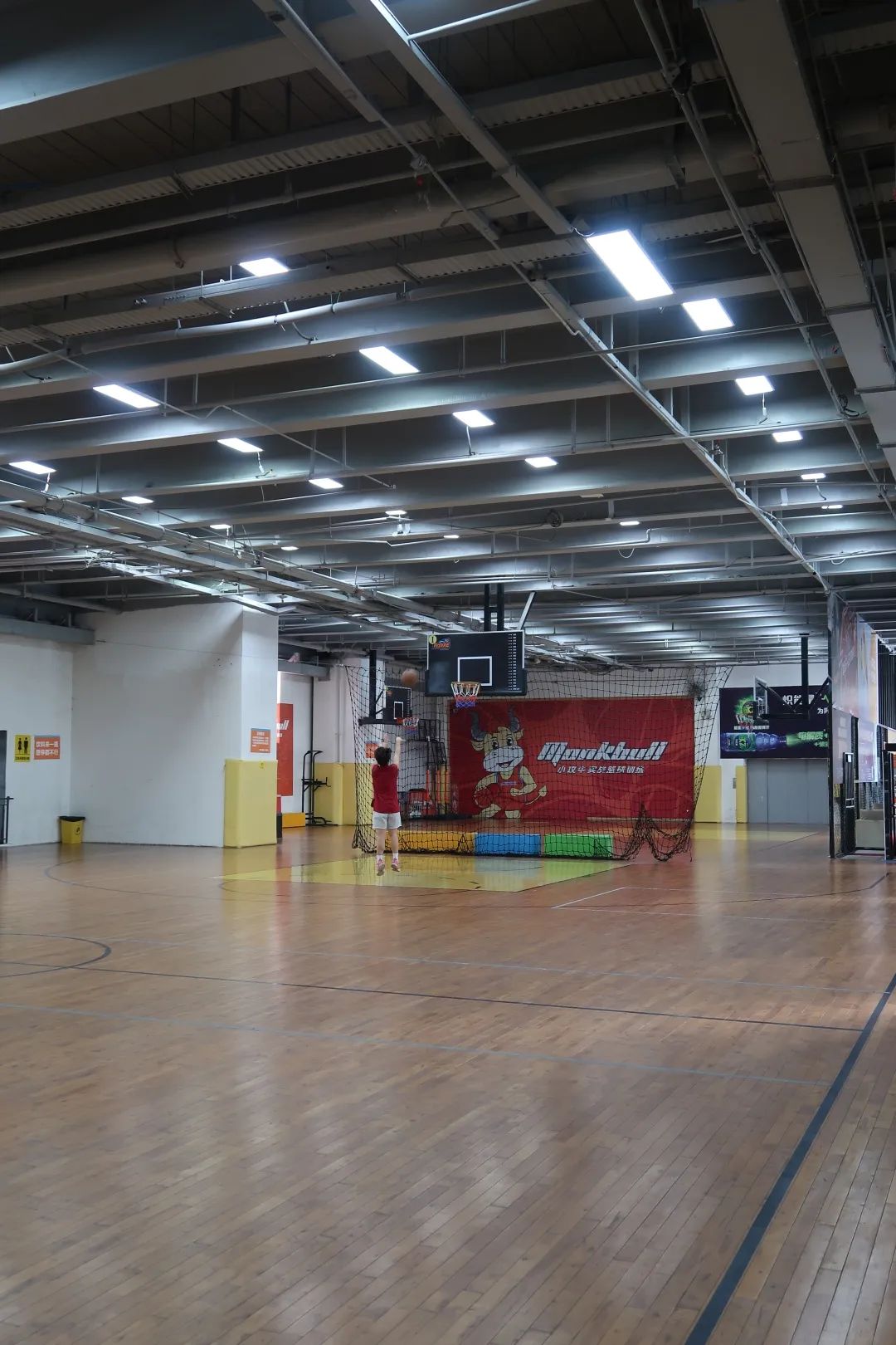 收藏乒乓球推荐,收藏价值高羽毛球拍