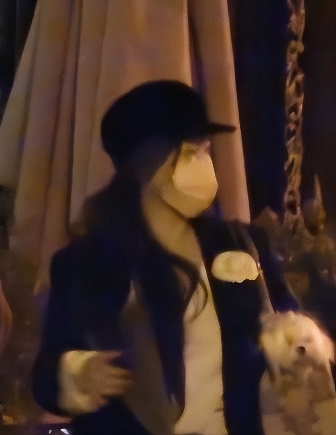 霍思燕豪门捞金,霍思燕富婆