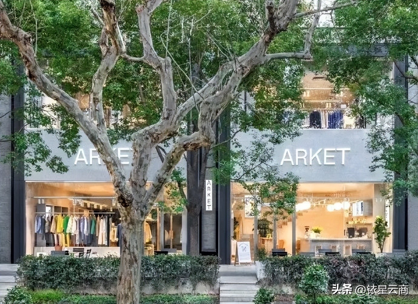 童装市场竞争状况分析,童装市场“百舸争流千帆竞”