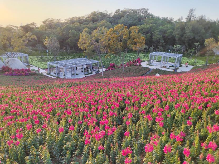 2022年厦门新晋打卡地,厦门新地块最新消息