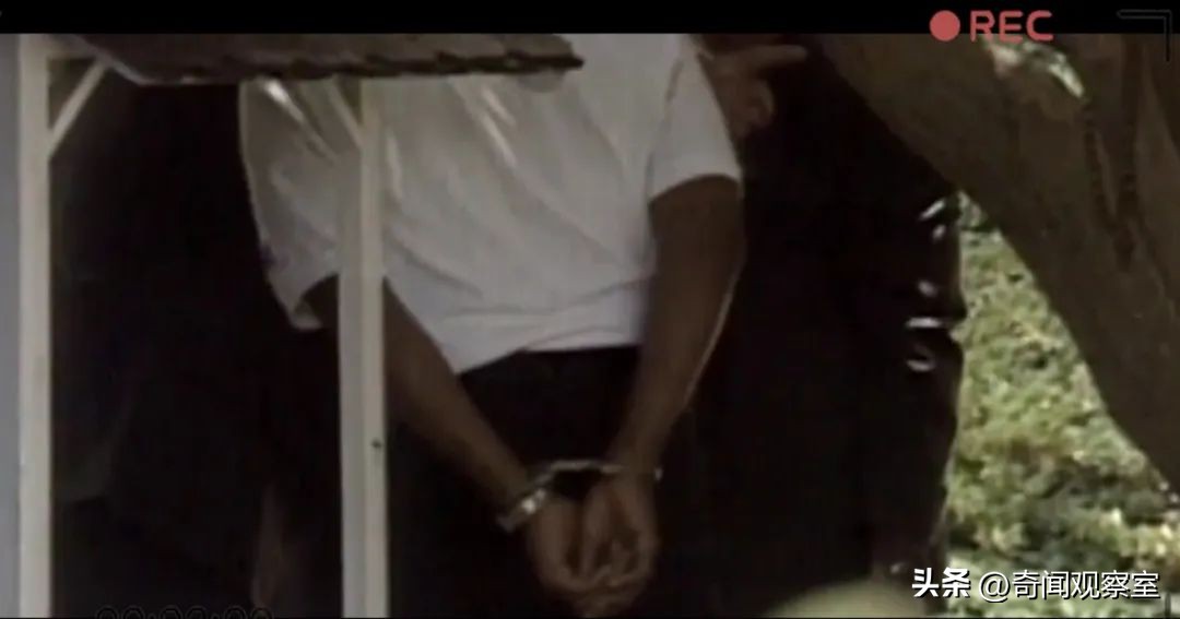 辛普森案真相解析,辛普森案真相解密